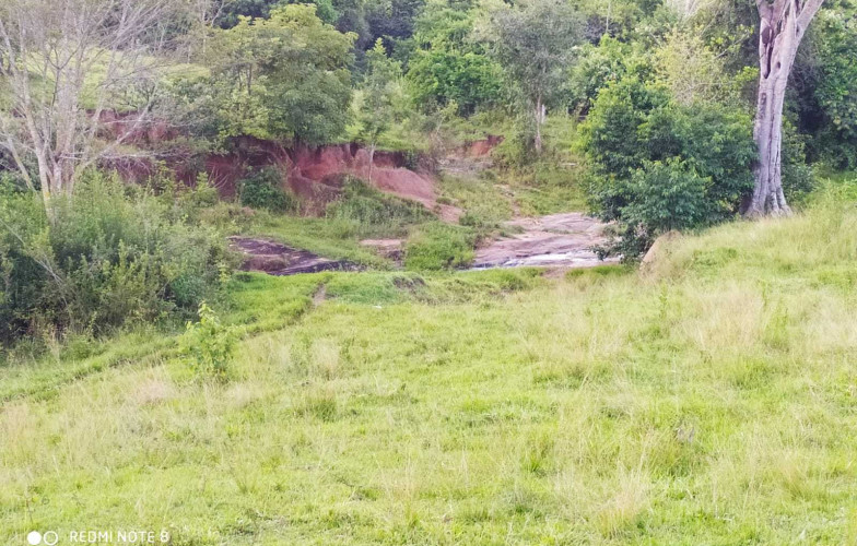 Chácara de 9 Alqueires em Guapó - 