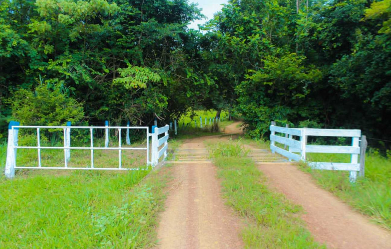 Chácara em Cezarina - 