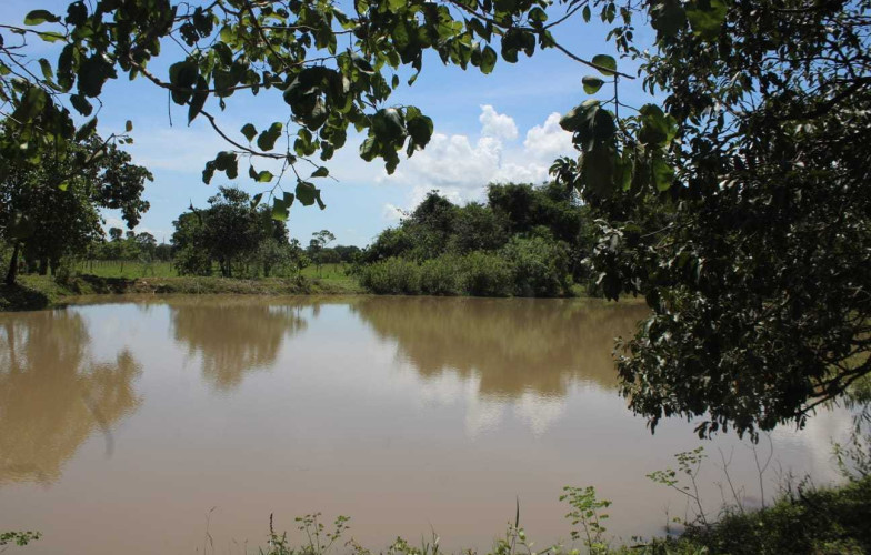 Chácara em Cezarina - 