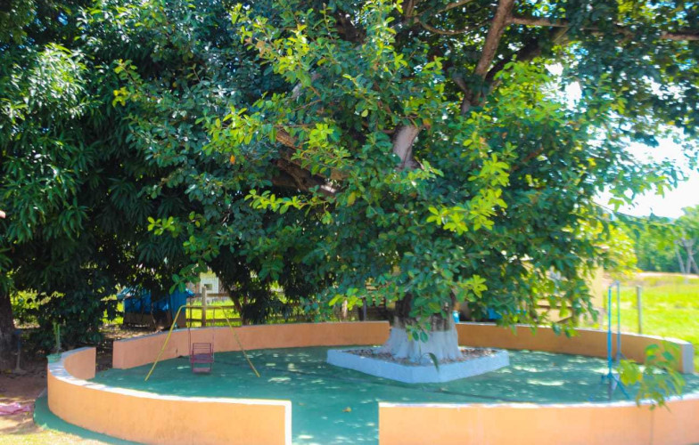 Chácara em Cezarina - 