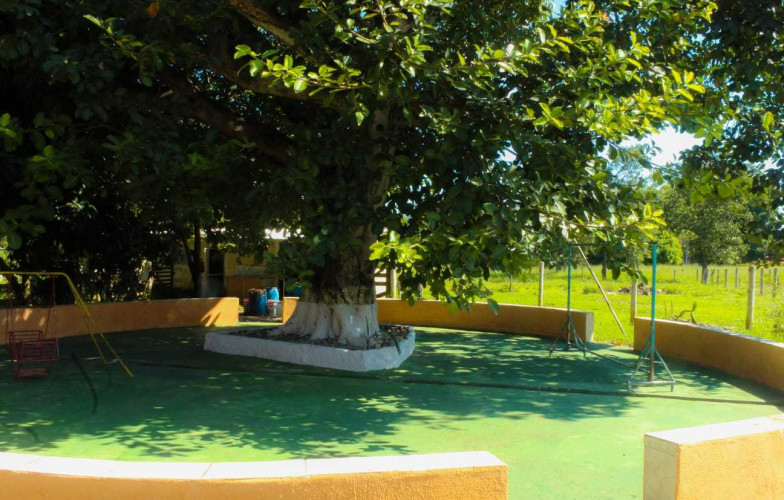 Chácara em Cezarina - 