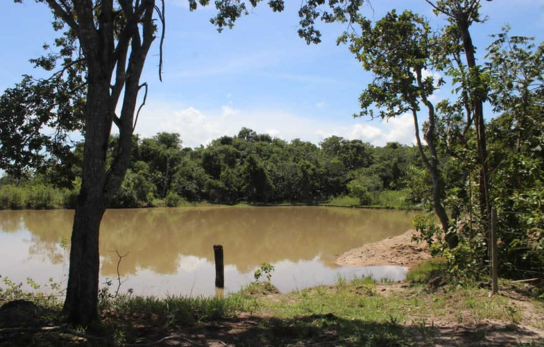 Chácara em Cezarina - 