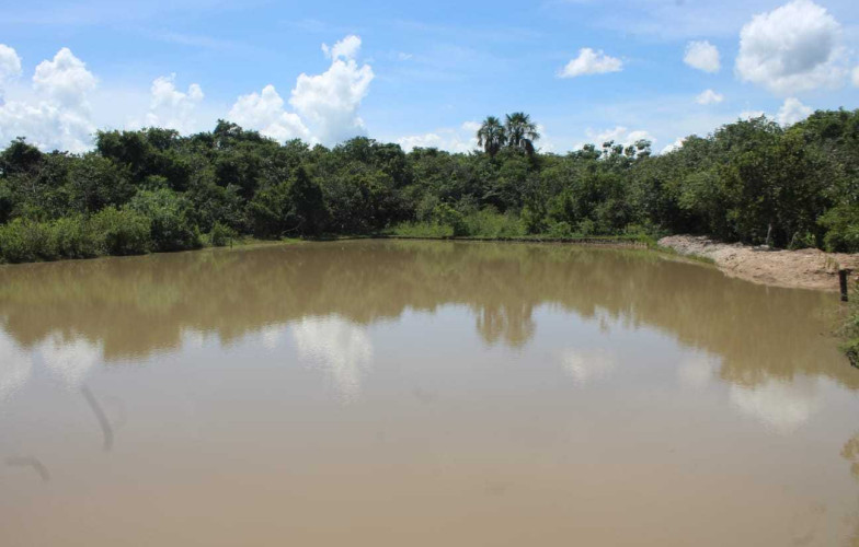 Chácara em Cezarina - 