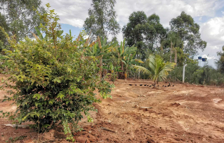 Chácara no Recanto da Serra - VENDIDA - 