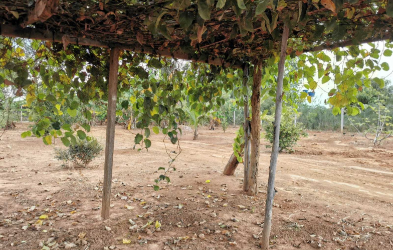 Chácara no Recanto da Serra - VENDIDA - 