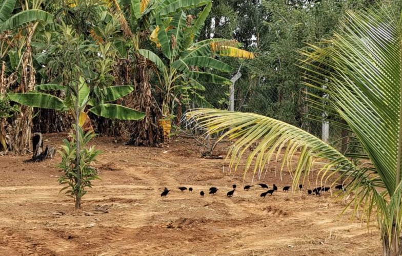 Chácara no Recanto da Serra - VENDIDA - 